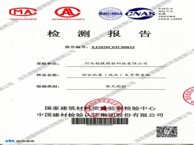 國檢總部支架型檢報告